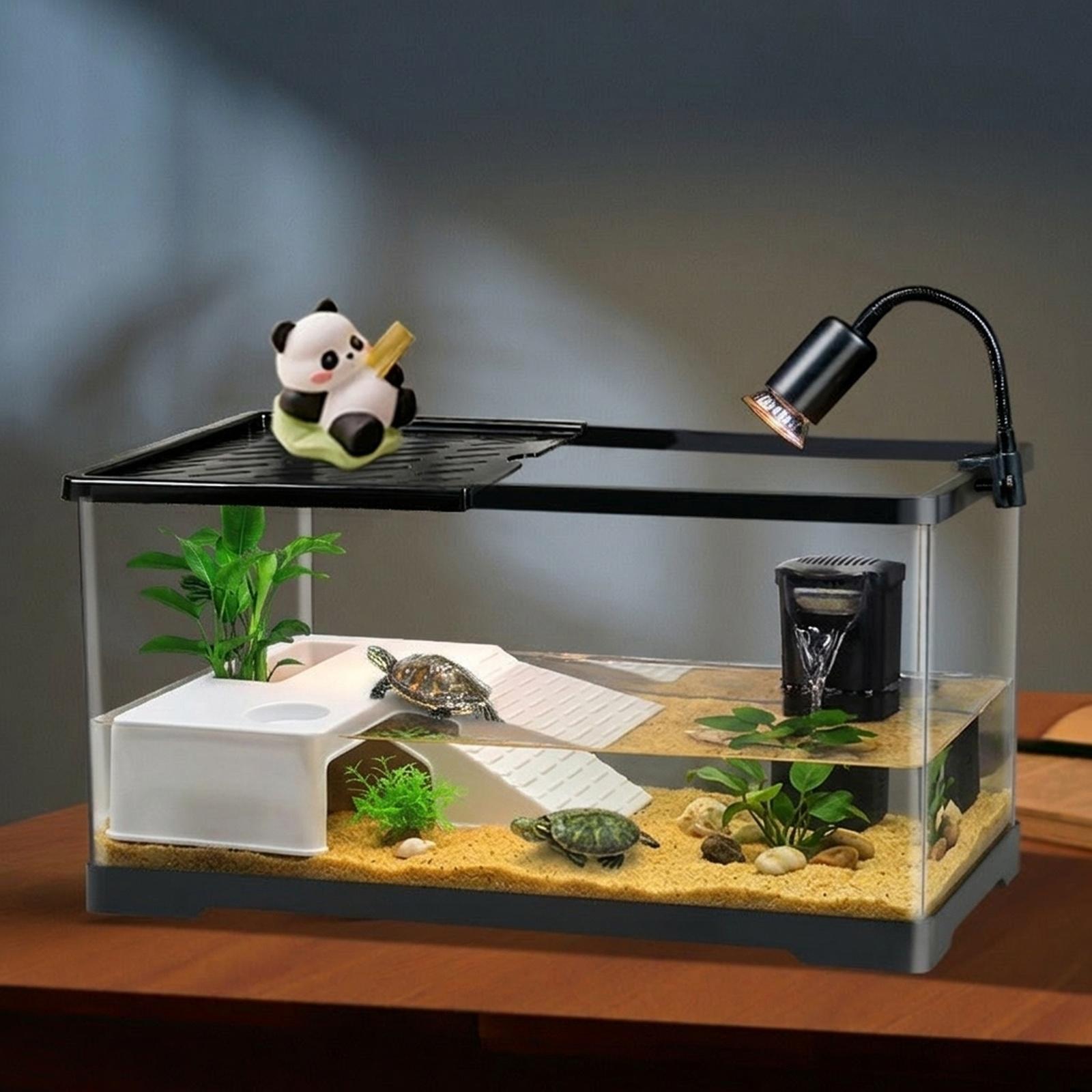 Marine Aquarium Hobby - Platform Istirahat Kura-Kura, Dekorasi Teras Istirahat,