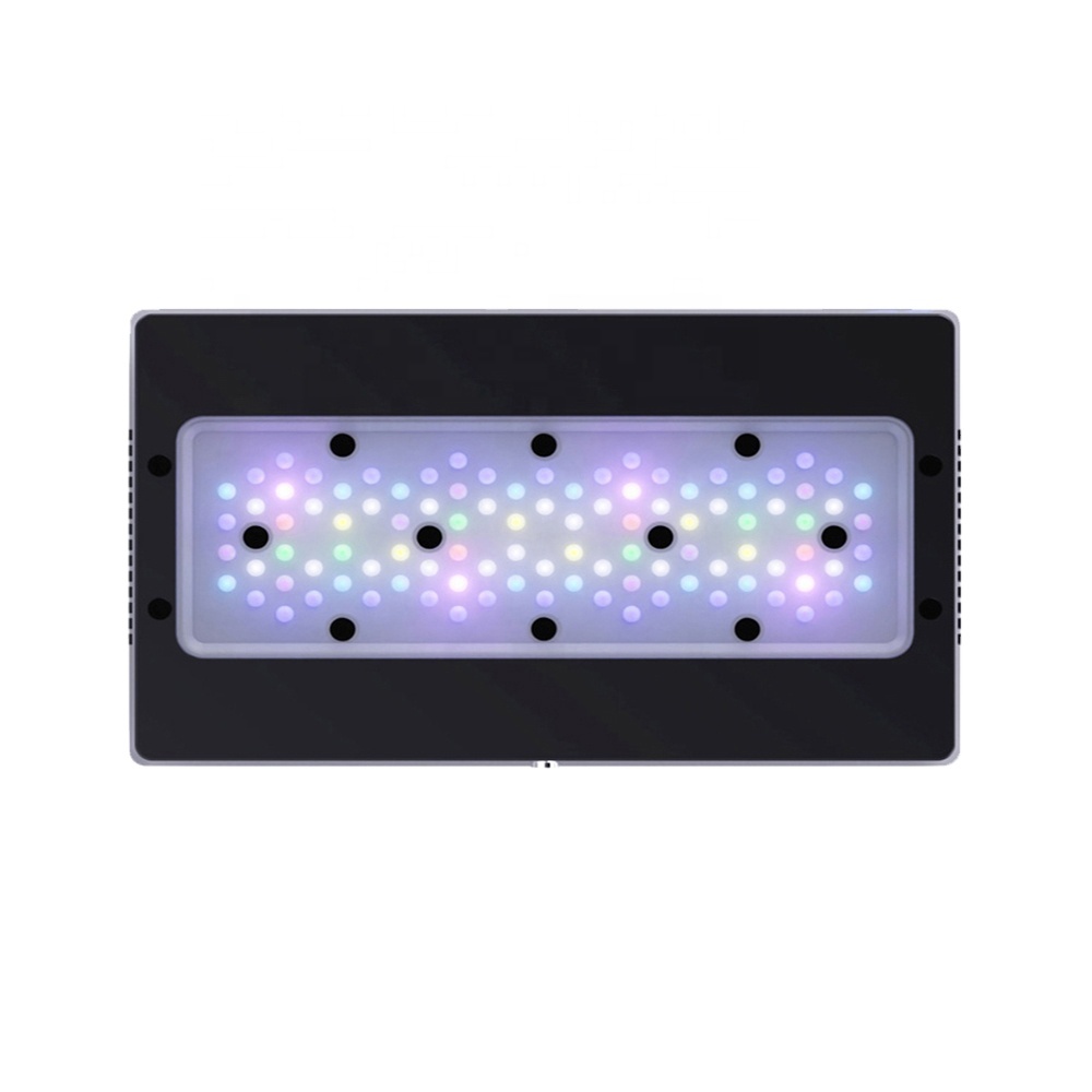 Aquarium Blue Marine Reef - Lampu LED Akuarium Laut A8SE II