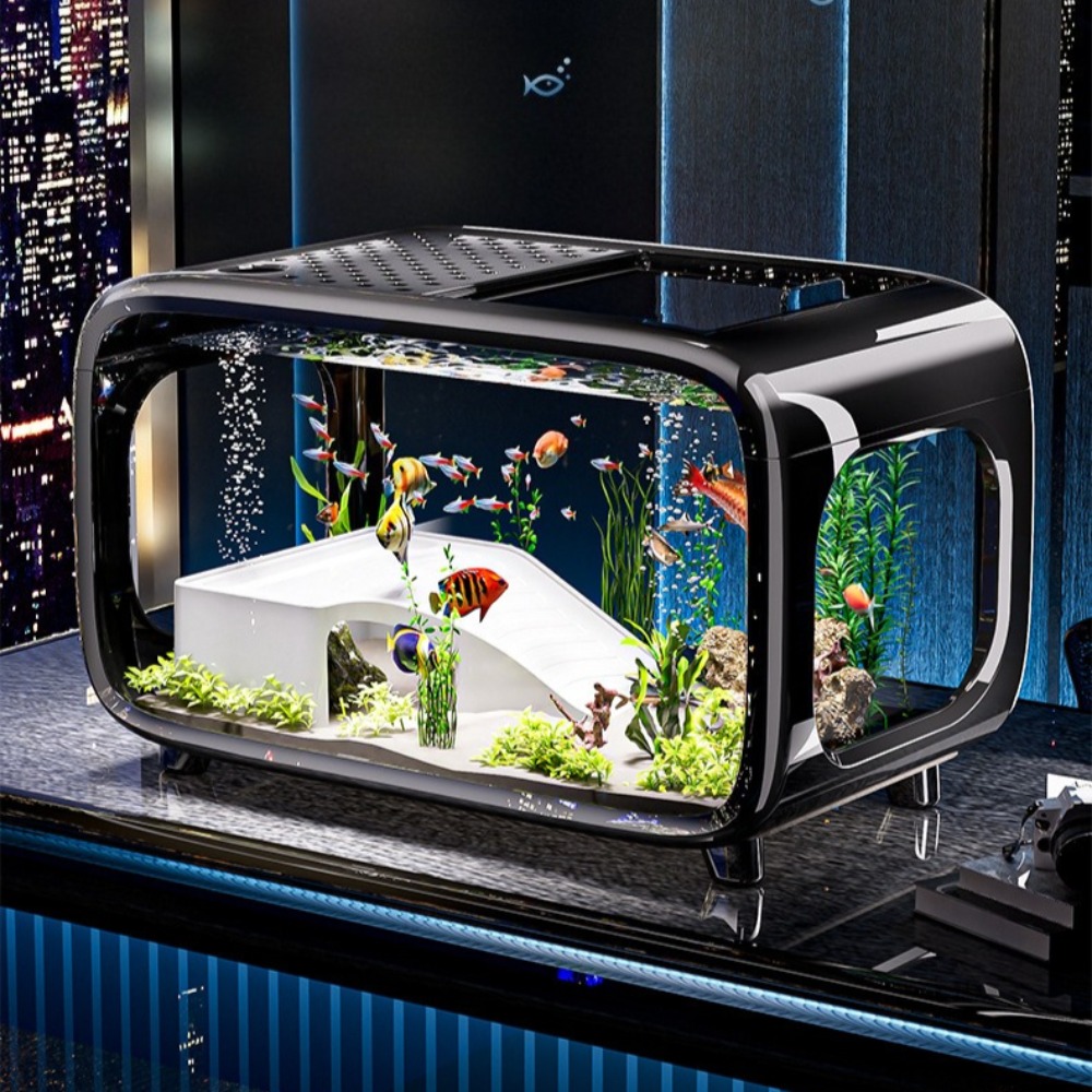 Marine Aquarium Hobby - Akuarium Ikan Emas Kecil Dekorasi Ruang