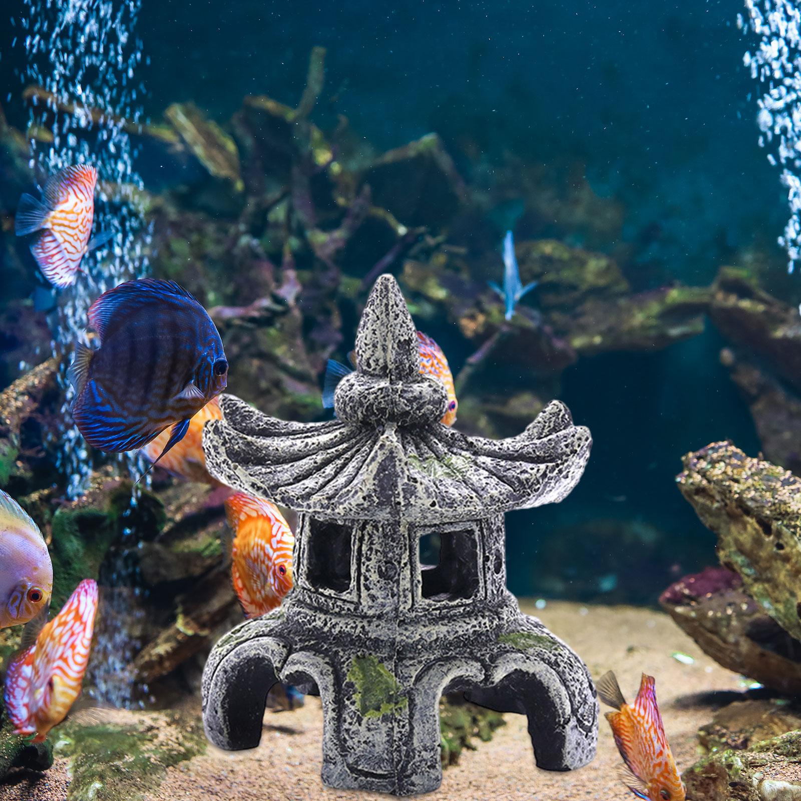 Ornamen akuarium aksesoris aku - Marine Aquarium Hobby ulasan dan harga