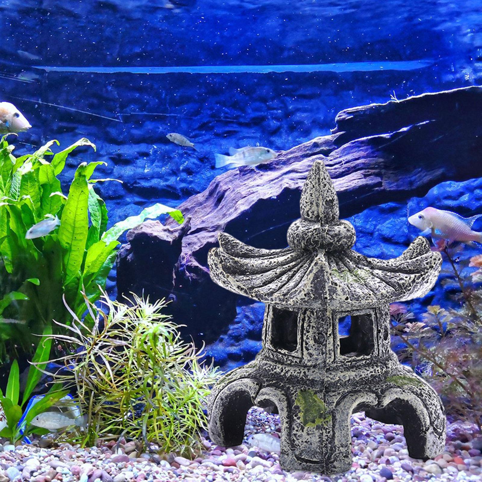 Ornamen akuarium aksesoris aku - Marine Aquarium Hobby ulasan dan harga