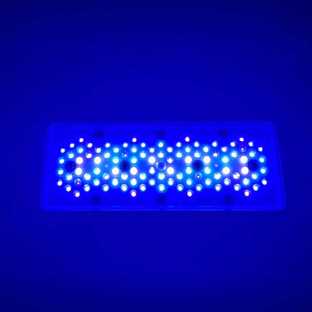 A8se A8PRO III BLUE 240W Lampu - Aquarium Blue Marine Reef ulasan dan harga