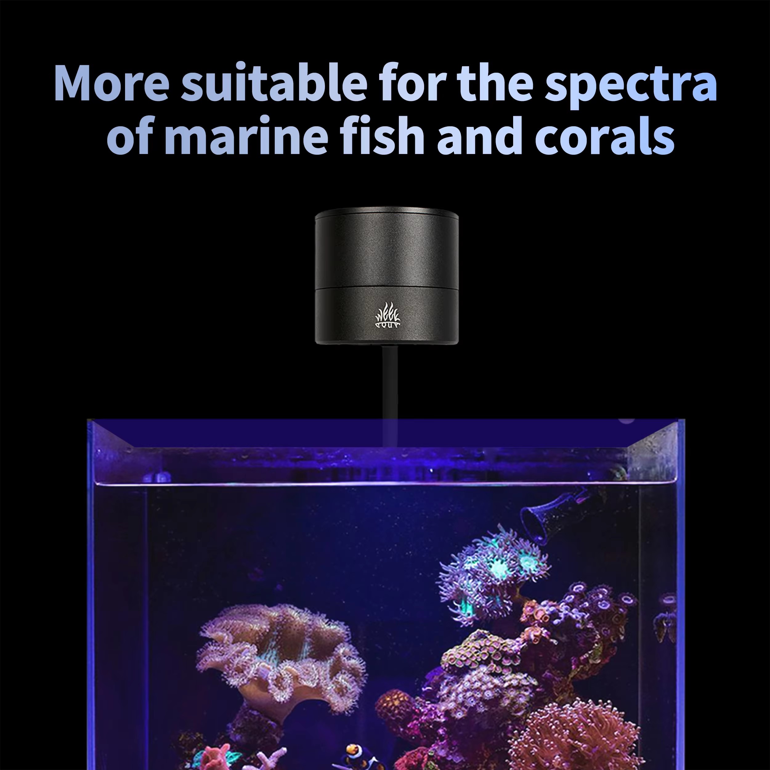Produsen Lampu Akuarium WEEK A - Aquarium Blue Marine Reef ulasan dan harga