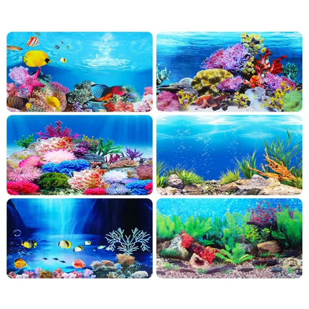 Latar belakang akuarium 3D sti - Marine Aquarium Hobby ulasan dan harga
