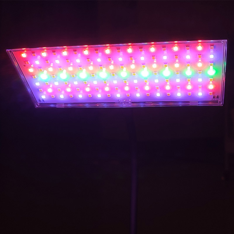 Lampu Akuarium 3 Warna yang Da - Aquarium Marine Lights ulasan dan harga