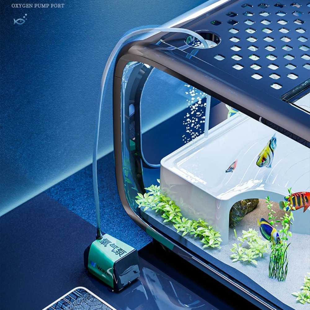 Akuarium Ikan Emas Kecil Dekor - Marine Aquarium Hobby ulasan dan harga