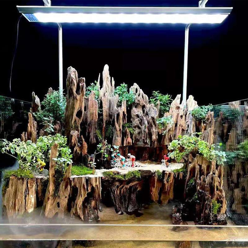 △   Dekorasi Akuarium Kayu Uda - Marine Aquarium Hobby ulasan dan harga