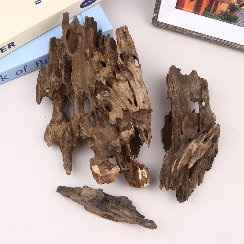 △   Dekorasi Akuarium Kayu Uda - Marine Aquarium Hobby ulasan dan harga