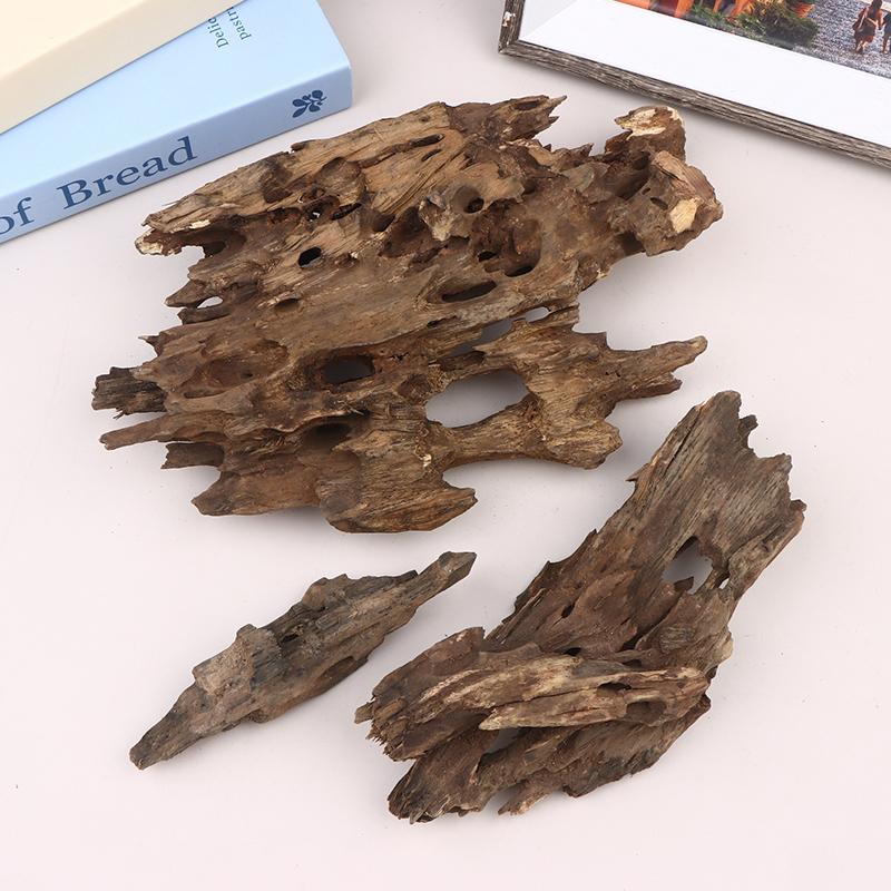 △   Dekorasi Akuarium Kayu Uda - Marine Aquarium Hobby ulasan dan harga