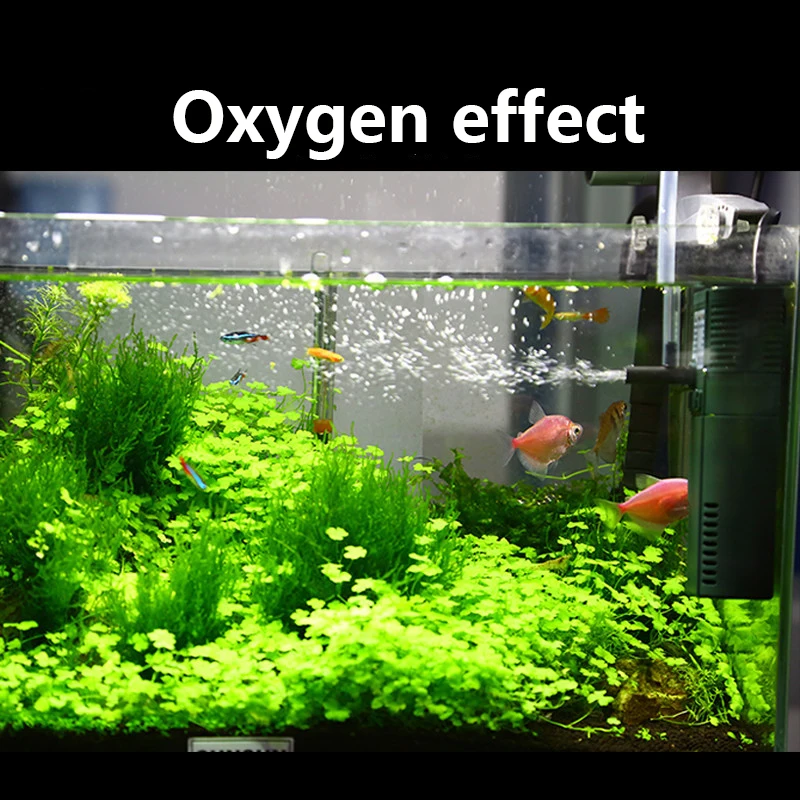 SUNSUN mini nano 111B 311B 611 - Marine Aquarium Hardscape ulasan dan harga